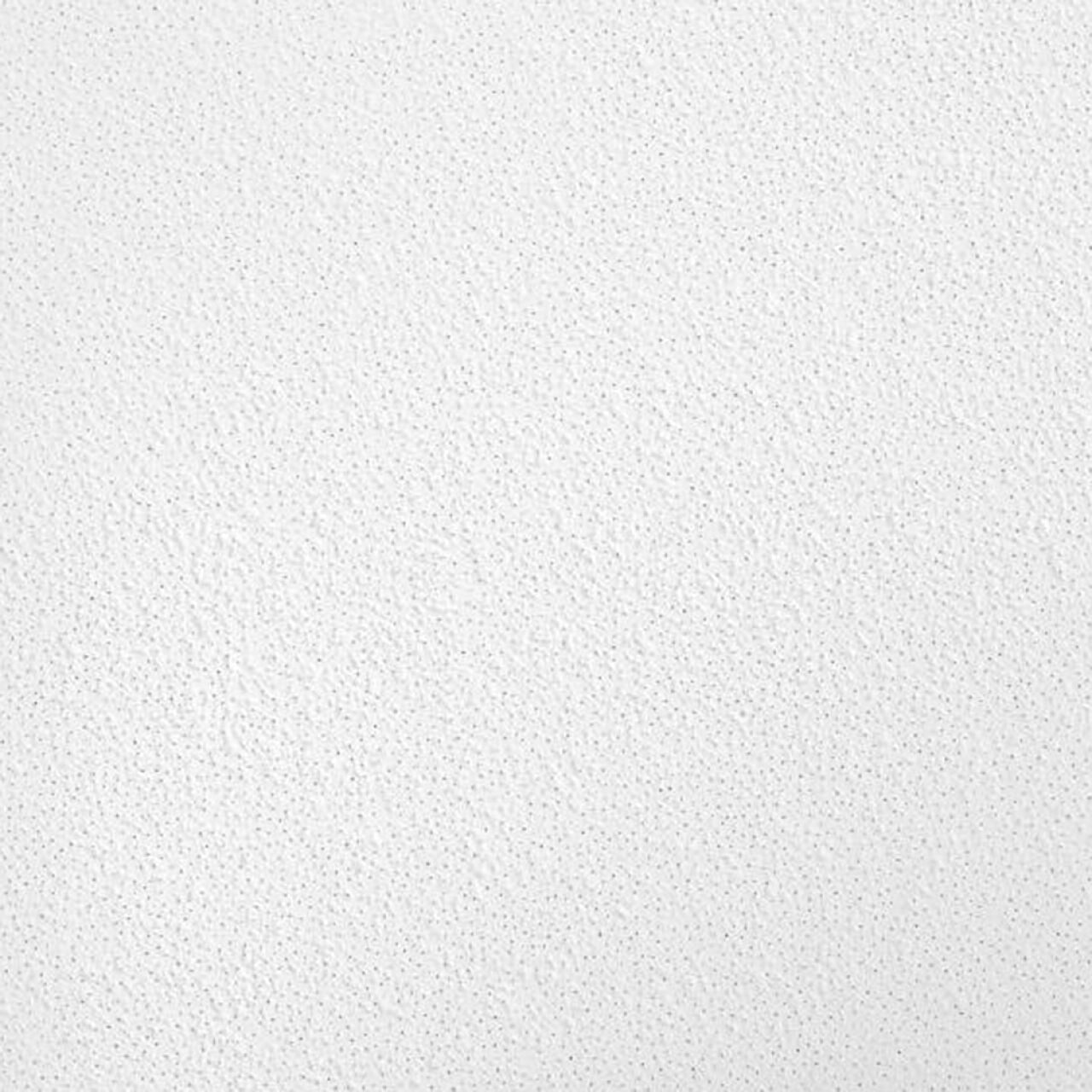 Close-up of Go Build 2 ft. x 2 ft. Brighton Drop Ceiling Tile shows a clean, white textured surface with small, evenly spaced bumps—ideal for creating a simple, monochromatic ceiling look. (64 sq. ft./case).